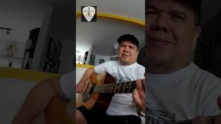 Auld Lang Syne Fingerstyle Guitar Cover shorts [upl. by Nawat]