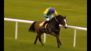 A Tribute To Kauto Star Keep holding on RIP [upl. by Anabel]