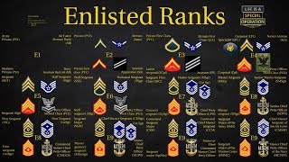 US Military All Branches ENLISTED Ranks Explained [upl. by Zebulen343]