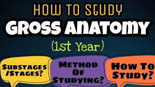 How To Study GROSS ANATOMY  1st Year Medical MBBS DPT amp BDS DrHamzaAshraf [upl. by Sophi968]