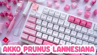 AKKO Prunus Lannesiana 3098B  Froggy Chair Keycap [upl. by Anuaek]