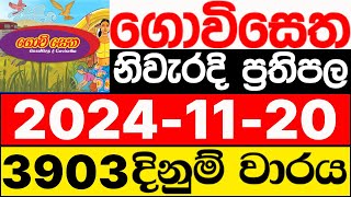 Govisetha 3903 20241120 lotharai dinum adima today ගොවි සෙත ලොතරැයි ප්‍රතිඵල NLB [upl. by Ervine]