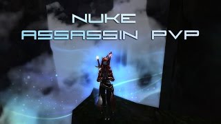 Aion 50  Nuke Assassin Pvp [upl. by Eiblehs]