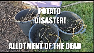 Potatoes Disaster [upl. by Maryanne]