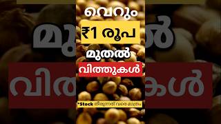 99 മുടക്കുന്ന അത്യുഗ്രൻ വിത്തുകൾ  vegetable seedsadukkalathottamgardening krishi seeds [upl. by Nyssa845]