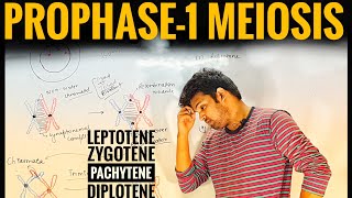 Prophase1  Meiosis Part3  Vinay Biology [upl. by Kory]