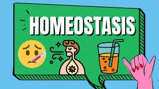 Homeostasis Examples [upl. by Nitsid]