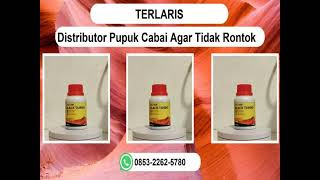 TERLARIS WA 085322625780 Distributor Pupuk Cabai Agar Tidak Rontok Bantul [upl. by Mcgill]