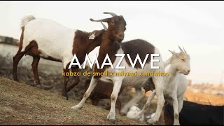 Kabza De Small amp Mthunzi  Amazwe feat MaWhoo Official Music Video [upl. by Ratep]