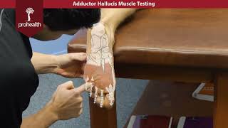 Adductor Hallucis Muscle Test Palp Dr Vizniak Muscle Manual [upl. by Aderf910]