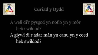 Curiad y Dydd – Bwncath [upl. by Chang]