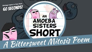 Mitosis Poem  Amoeba Sisters Shorts [upl. by Leonidas]