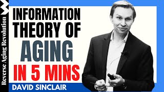 DAVID SINCLAIR “Information Theory Of Aging In 5 Mins”  Dr David Sinclair Interview Clips [upl. by Esahc406]