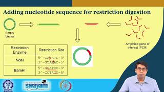 Lecture 44  Basics of rDNA Technology Part  II [upl. by Bamberger]