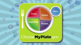 KSPS Fit Kids Episode 65 My Plate [upl. by Neleag]