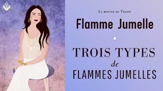 Les TROIS types de flammes jumelles schéma [upl. by Ettelrac974]