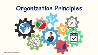 Organization principles  Principles of Organization [upl. by Wootan]