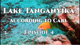 Lake Tanganyika According to Carl episode 4 [upl. by Barimah599]