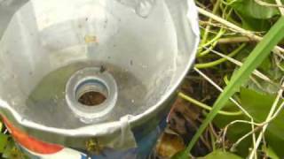 Wasp Hotel How to set a wasp trap [upl. by Gobert]