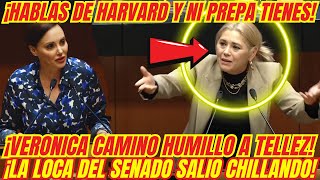 ¡BOFETADON QUE SE LLEVÓ LA LOCA DEL SENADO ¡VERONICA CAMINO LA HIZO TRIZAS [upl. by Nwahsal]