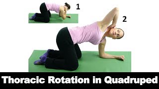 Thoracic Rotation in Quadruped  Ask Doctor Jo [upl. by Elbon8]