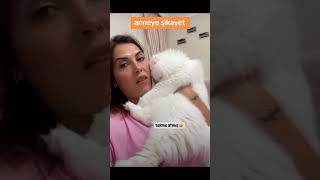 Kediler uzaylı mi story karadeniz funny fypシ゚viral love LAZKIZIMEHTAP [upl. by Africa880]