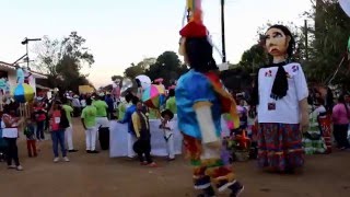 Monos de calenda Danza de la pluma  Monos De Calenda En Oaxaca 951 569 3795 [upl. by Yticilef618]