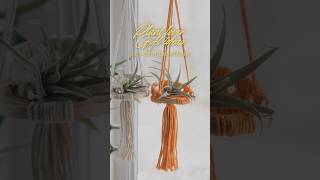 Handmade Air Plant Hangers – Discover More in My Store [upl. by Alleunam445]