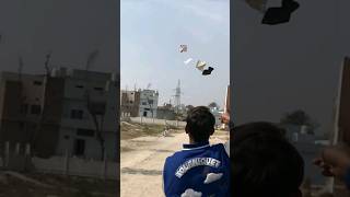 New Manja kites Experiment  Flying 6 kite One Thread  Kite Flying Thread shorts kites [upl. by Hyozo]