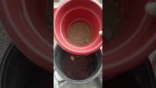 Compost making at home part 1 compost gardening gardening viral shorts [upl. by Starling]