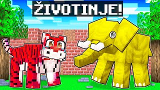 Postali smo ŽIVOTINJE u Minecraftu [upl. by Gnouhk]