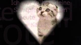 Traurige Geschichte einer Katze [upl. by Jardena967]