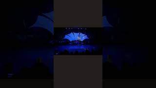 Spectacular Dolphin Opening Show Highlights dolphinshow [upl. by Tu]