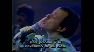 Silvio Rodriguez canta quotSueño Con Serpientesquot no programa quotChico e Caetanoquot em 1986 na TV Globo [upl. by Lani542]