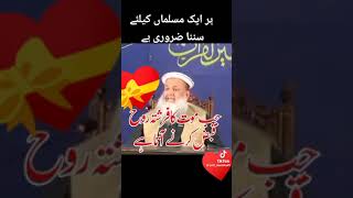 Har eak musalman ka liya suna zarure hai [upl. by Lasala61]