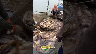 China Amazing Fishing Technique Part 2 [upl. by Dumah148]