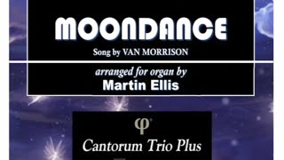 Martin Ellis Moondance Song by Van Morrison [upl. by Mata]