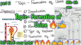 Formation of Urine 🔥🔥📝 part 2Msc 4th sem neurophysiology full हिन्दी easy Notes 🔥🔥📝📝✍️✍️✍️🔥🔥 [upl. by Alekehs]