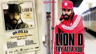 Lion D  Try Afta You Official Video 2013 [upl. by Breech]