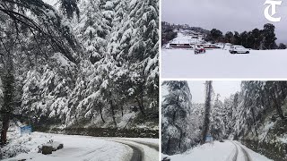 Solan Fresh snow wraps Chail in white blanket [upl. by Aikemat912]