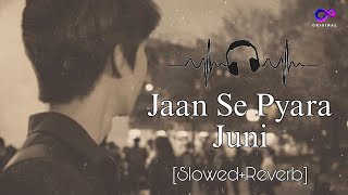 Jaan Se Pyara Juni  Full Ost  Yashal Shahid  Latest Ost Song  SlowedReverb New Song [upl. by Ceevah176]