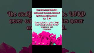 Ebenesarae  Tamil Christian song  LAMENTATIONS  3  22 [upl. by Norahc]