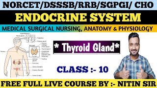 ENDOCRINE SYSTEM Medical Surgical Nursing CLASS 10FREE LIVE COURSE NORCETDSSSBRRB freeclasses [upl. by Roehm97]