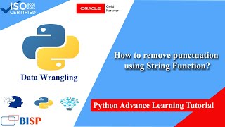 Python Data Wrangling USE Case  Removing Punctuation  Python Financial Data Analysis [upl. by Gaige]