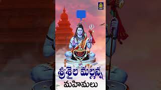 శ్రీశైల మల్లన్న దండం శ్రీ కాళహస్తీశ్వర శరణం l సోమవారం సాంగ్స్  Lord Shiva Songs  Sri Durga Audio [upl. by Robma]