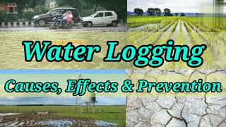 Water Logging  Causes  Effects  How to Prevent water logging Irrigation Engineering Shiwani Jha [upl. by Spalla]