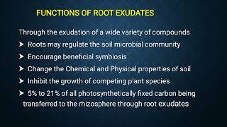 Root Exudates [upl. by Emoreg]