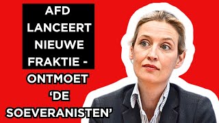 🔴AfD lanceert nieuwe fractie  Maak kennis met ‘The Sovereignists’ [upl. by Reniar]