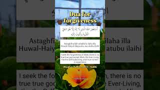 Dua for forgiveness [upl. by Aramahs]