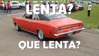 Seu Opala tem lenta Esse aqui NÃO [upl. by Fleeta]